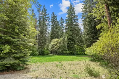 180 Sierra Lane, Ronald, WA 98940 - Photo 40