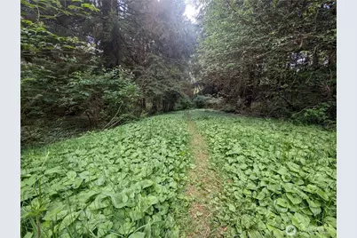 235 Delta Wing Drive, Forks, WA 98331 - Photo 28