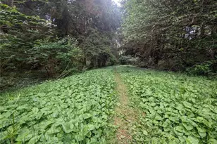 235 Delta Wing Dr, Forks, WA 98331 - Photo 28