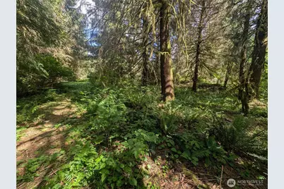 235 Delta Wing Drive, Forks, WA 98331 - Photo 34