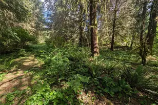 235 Delta Wing Dr, Forks, WA 98331 - Photo 34