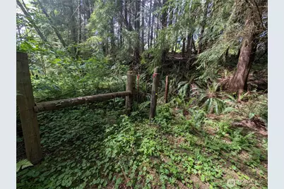 235 Delta Wing Drive, Forks, WA 98331 - Photo 32