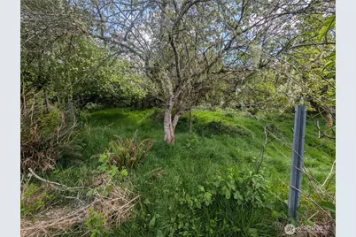 235 Delta Wing Drive, Forks, WA 98331 - Photo 20