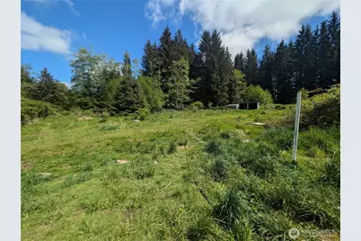 235 Delta Wing Drive, Forks, WA 98331 - Photo 12