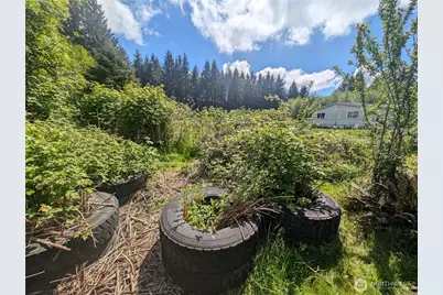 235 Delta Wing Drive, Forks, WA 98331 - Photo 16