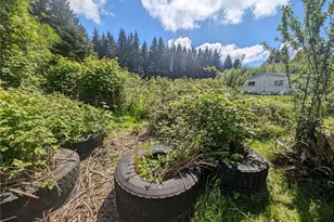 235 Delta Wing Dr, Forks, WA 98331 - Photo 16