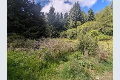 235 Delta Wing Drive, Forks, WA 98331 - Photo 22