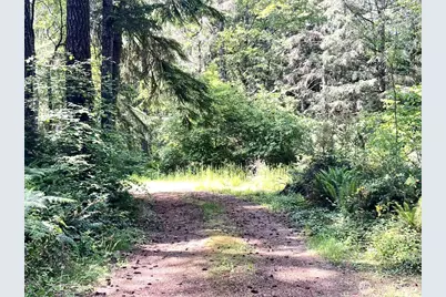 20 E Firwood Heights Lane, Belfair, WA 98528 - Photo 30