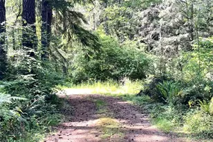 20 E Firwood Heights Ln, Belfair, WA 98528 - Photo 30