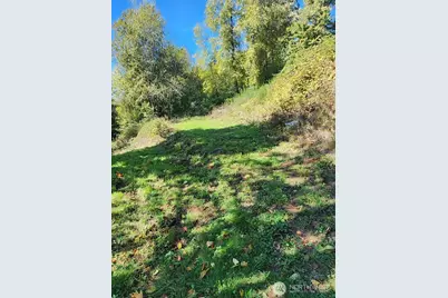 4733 Green Mountain Road, Kalama, WA 98625 - Photo 10