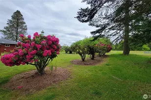 1296 US Hwy 12, Chehalis, WA 98532 - Photo 36