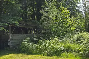 147 21 Morris Rd, Randle, WA 98377 - Photo 8