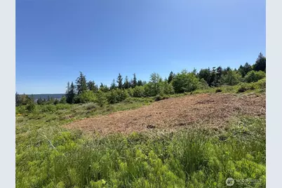 9999 View Ridge - Lot 4 Drive, Sequim, WA 98382 - Photo 22