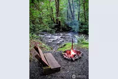 423 Lords Lake Loop, Quilcene, WA 98376 - Photo 10