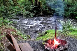 423 Lords Lake Loop, Quilcene, WA 98376 - Photo 10