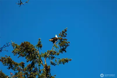 14210 Olalla Crest Lane SE, Olalla, WA 98359 - Photo 40