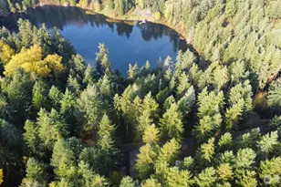 1546 Reservation Rd SE, Olympia, WA 98513 - Photo 26