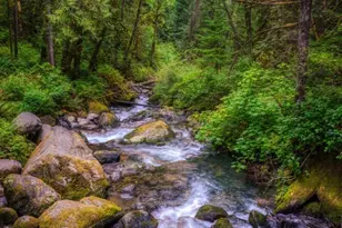 604 Blueberry Ln, Gold Bar, WA 98251 - Photo 20