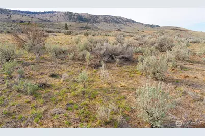 0 Tract 4 McNeil Canyon, Orondo, WA 98816 - Photo 6