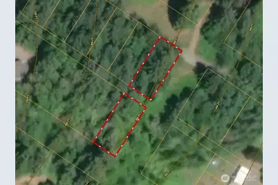 4 Xx W 8th Street, Bucoda, WA 98530 - Photo 10