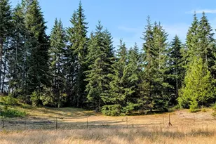 14610 176th Ave NW, Gig Harbor, WA 98329 - Photo 40