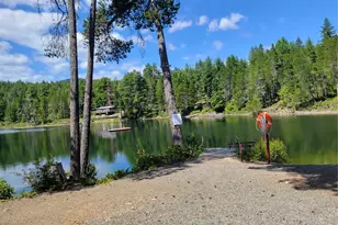 321 N Lake Surf Dr, Lilliwaup, WA 98555 - Photo 40