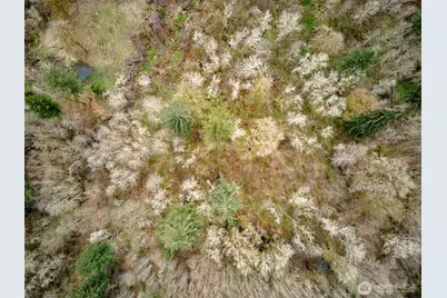 13500 NE 406th Street, Amboy, WA 98601 - Photo 10