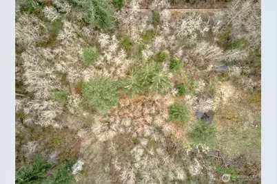 13500 NE 406th Street, Amboy, WA 98601 - Photo 20