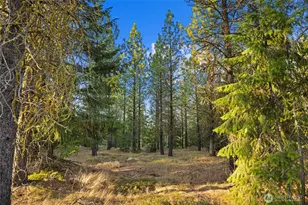 131 Gold Leaf Ln, Cle Elum, WA 98922 - Photo 4