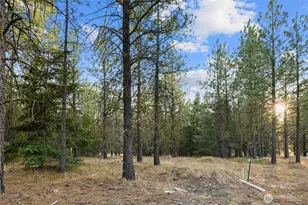 131 Gold Leaf Ln, Cle Elum, WA 98922 - Photo 12