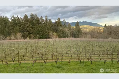 391 Newell Rd, Underwood, WA 98651 - Photo 20