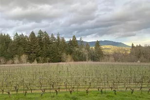 391 Newell Rd, Underwood, WA 98651 - Photo 20