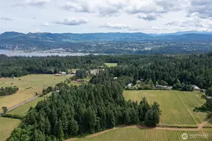 391 Newell Rd, Underwood, WA 98651 - Photo 6