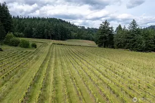 391 Newell Rd, Underwood, WA 98651 - Photo 8