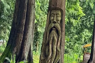 5363 Reese Hill Rd, Sumas, WA 98295 - Photo 40