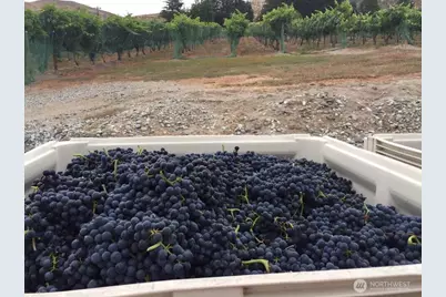 70 E Wapato Lake Road, Manson, WA 98831 - Photo 28