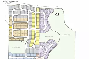 715 Maggee St SE, Lacey, WA 98513 - Photo 36