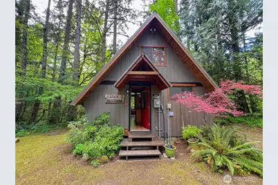 423 Lords Lake Loop, Quilcene, WA 98376 - Photo 4