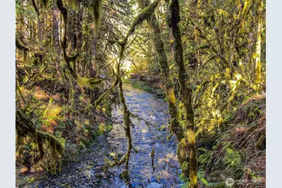 423 Lords Lake Loop, Quilcene, WA 98376 - Photo 10