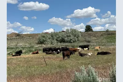 8708 Road K Road NE, Moses Lake, WA 98837 - Photo 24