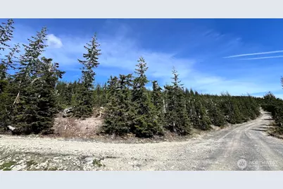 0 Xxxx Spirit Lake Hwy, Skamania, WA 98648 - Photo 34