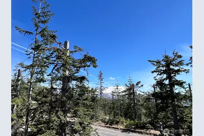 0 Xxxx Spirit Lake Hwy, Skamania, WA 98648 - Photo 36