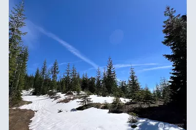 0 Xxxx Spirit Lake Hwy, Skamania, WA 98648 - Photo 30