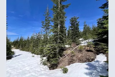 0 Xxxx Spirit Lake Hwy, Skamania, WA 98648 - Photo 28