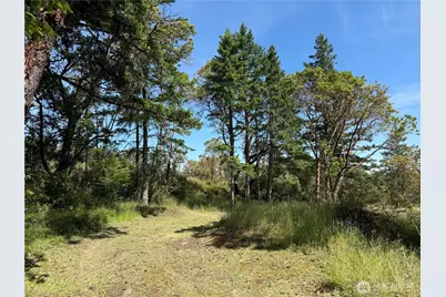 0 Nordkapp Lane, Friday Harbor, WA 98250 - Photo 6