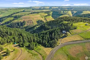 6379 Lewis Peak Rd, Waitsburg, WA 99361 - Photo 36