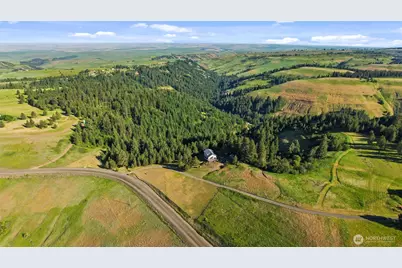 6379 Lewis Peak Road, Waitsburg, WA 99361 - Photo 38