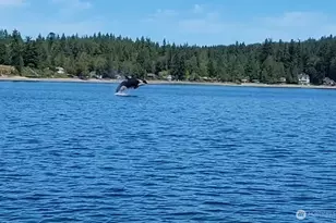 1954 NE Grandview Blvd, Keyport, WA 98345 - Photo 14