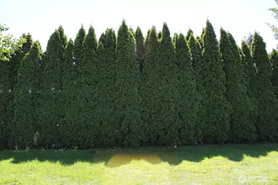 1415 Cherry St, Oroville, WA 98844 - Photo 18