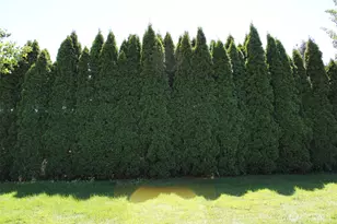 1415 Cherry St, Oroville, WA 98844 - Photo 18